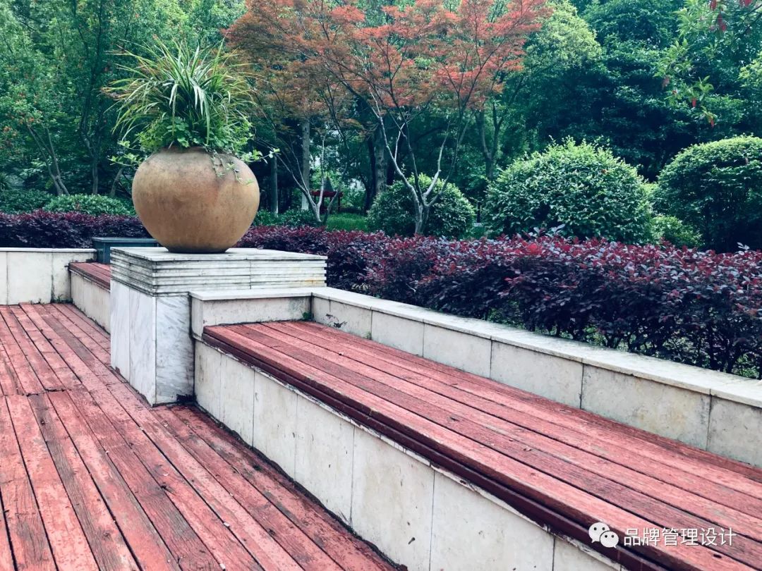 1685418221654745.jpg 5.jpg