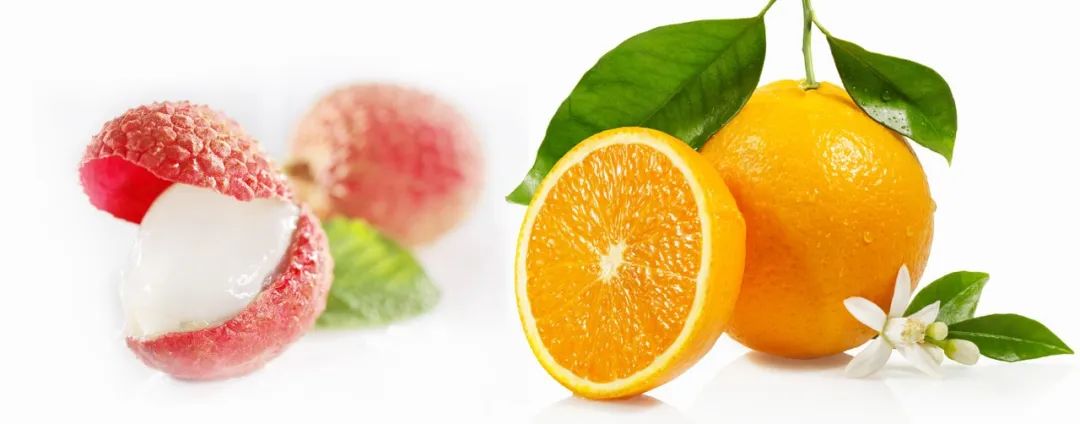 1698807711978529.jpg z1.jpg